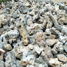 太湖石产地供应 白色太湖石 大中小型太湖石 庭院假山石