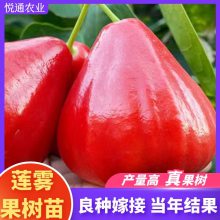 Ҷڽպǰż޽統ˮ