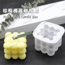 Palm Mould Candle Waxģ 