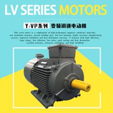 ���I(y��)׃�l�ݗU���s�C����늄әC Y2VP-315M-4-160kW SF=1.2���_Ʒ��