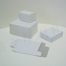 深圳白盒 白卡盒 白坑盒 白色瓦楞纸盒 无印刷内容纸盒 特种纸精装盒