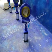 רҵ PZ673Y-10C ˵բ ͹բ DN300