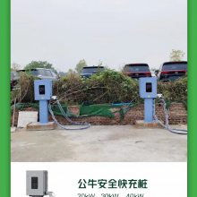 公牛电动汽车快速充电桩30KW单枪双枪直流快充商用比亚迪特斯拉充电