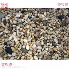 建筑工程石子 造景用石鹅卵石 大小鹅卵石批发