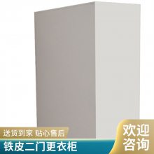 现代简约两层二门更衣柜 防火防磁置物柜 家庭用钢制铁皮柜