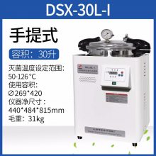 갲 DSX-30L-I ʽʵѹ