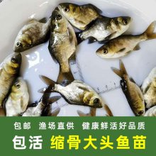 еˮǴͷֳ 2021ˮÿ 