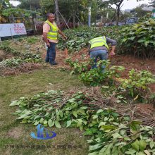 承接老旧路改造工程 凯中施工地下管网改造工程队