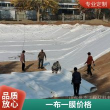 世杰土工膜隔离层 两布一膜复合膜 htpe藕池防渗膜
