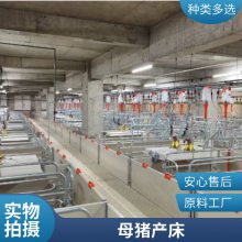 诚友养猪设备 养殖场双体母猪产床 铸铁板猪床 PVC围栏分娩床定制