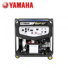 YAMAHAԭװ12KW˫׵220Vƿƶʽͷ