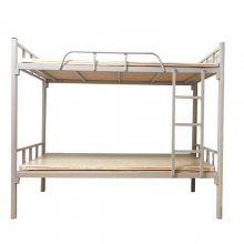 Ѵ��ѧУ��������������ľ��ߵ����´�����������ݸߵʹ�