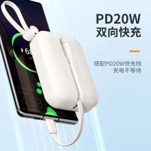 Ŧ AL07˫ Դ 籦 10000ʱ 22.5W ƶԴ  СɱЯ ƻΪСֻ