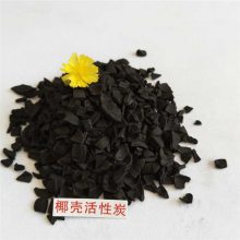 北京果壳活性炭 净水用活性炭 更换饮用水活性炭