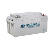 BT-HSE-65-12 12V65AH ֱUPS/EPSԴ