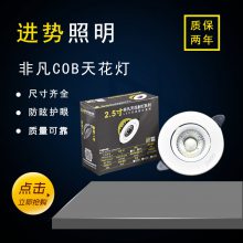 ***LED射燈嵌入式可調(diào)角度COB天花燈5w7w吊頂客廳洗墻筒寸