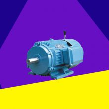 YEJ刹车电机：工业级380V，功率全覆盖