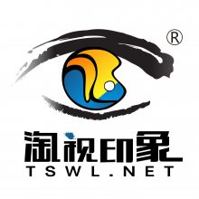 上海淘视文化传媒有限公司
