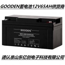 GOODEN蓄电池GD12-40（12V40AH）太阳能路灯UPS/EPS直流屏