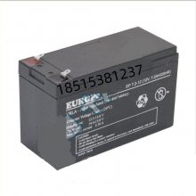 罗马尼亚EUROPOWER EPS28-12蓄电池 进口12V28AH免维护 电瓶