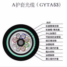  gyta53ֱ ģ4о8о12о16о