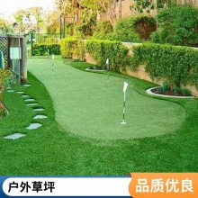 冷季型四季青草皮 大型草坪基地 种植经验富 各种草籽草种
