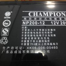 ***NP250-12Ǧά12V250AH۸