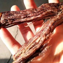 牛肉干生产线全套加工设备