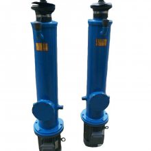 DYTZ1000ҺƸ 10TսʽҺƸ ֱʽ綯Ƹ