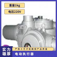 綯װDZW250-24-A00-WKִͷִл