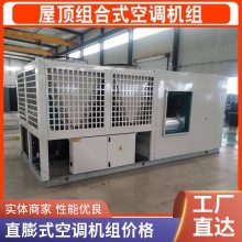 屋顶直膨式医用恒温恒湿洁净空调 机房实验室精密空调机组防爆模块式风冷空调机组