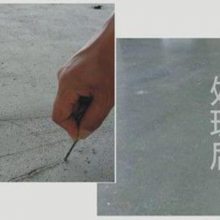 ݵ޲-̰Եƺ-ɰǿȲ޲