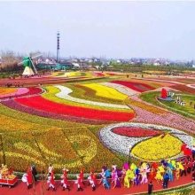 网红打卡村场景化设计|乡村振兴文旅场景化设计|乡村旅游项目场景化设计