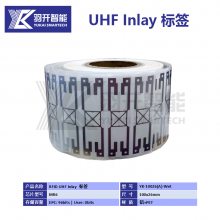 ӦRFID UHF Inlay ƵߴԶִӱǩ