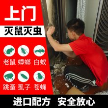 上海静安区上门捕鼠公司 企业工厂除四害灭虫 家庭抓老鼠堵洞