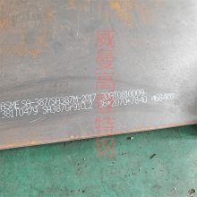 震撼发布 SA387Gr91钢板 F91板材 高强度抗腐蚀 工业设备之选