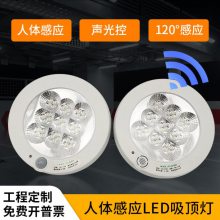 LED人體紅外線感應(yīng)燈 聲光控智能樓道吸頂燈過道燈車庫走廊應(yīng)急燈