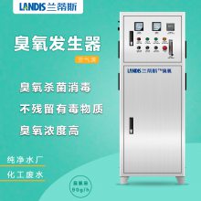 臭氧发生器 臭氧消毒机 臭氧设备款式齐全可定制