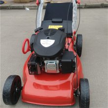 经济实用型社区绿化剪草机低噪音好用草坪机