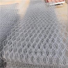 п·Ѵȶʯ2*1*1m 11*13cm 2.5mm