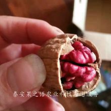 ***缼