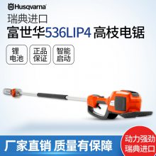 536LIP4֦֦﮵̻԰޼֦