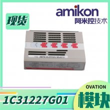 1C31129G03 ģģ