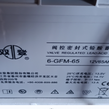 ˫ ܷʽǦά 6-GFM-65C20