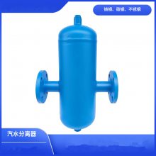 汽水分离器AS-16/25C/P WCB 304 316材质 法兰连接