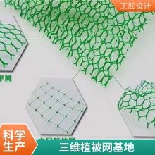 塑料三维植被网 护坡植草土工网垫世杰 山坡固土用三维网