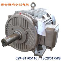 供应优质YE2-355M2-6 185KW 380V IP55西玛电机 风机水泵等工业通用