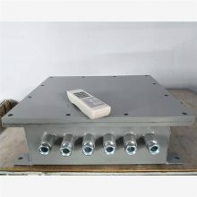 RS485 矿用本安型遥控器 遥控发射器无线通信 矿安生产 应用范围广泛
