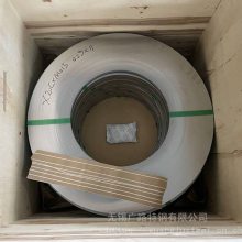 X20CrMo13KG1.4120˻ִ Ƭ