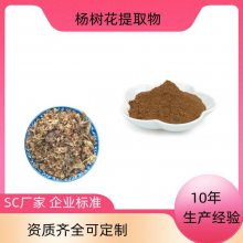 杨树花提取物 可水溶 浓缩粉 一公斤起订 固体饮料原料